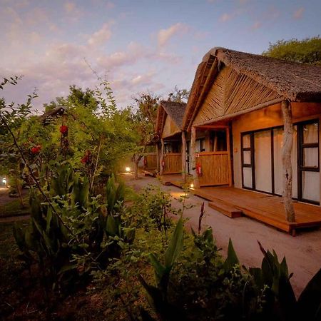 Khwai African Excursions Guest House מראה חיצוני תמונה