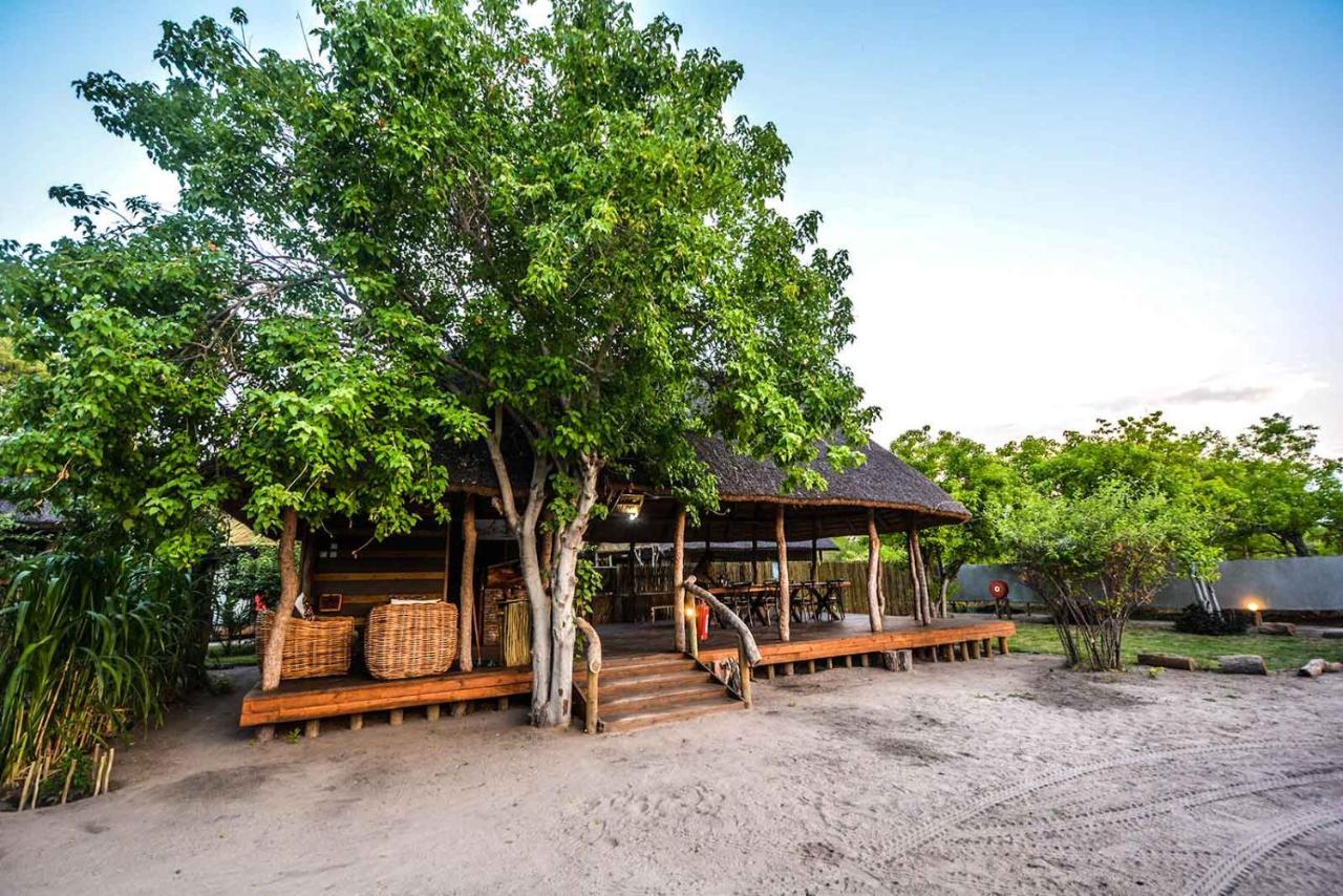 Khwai African Excursions Guest House מראה חיצוני תמונה