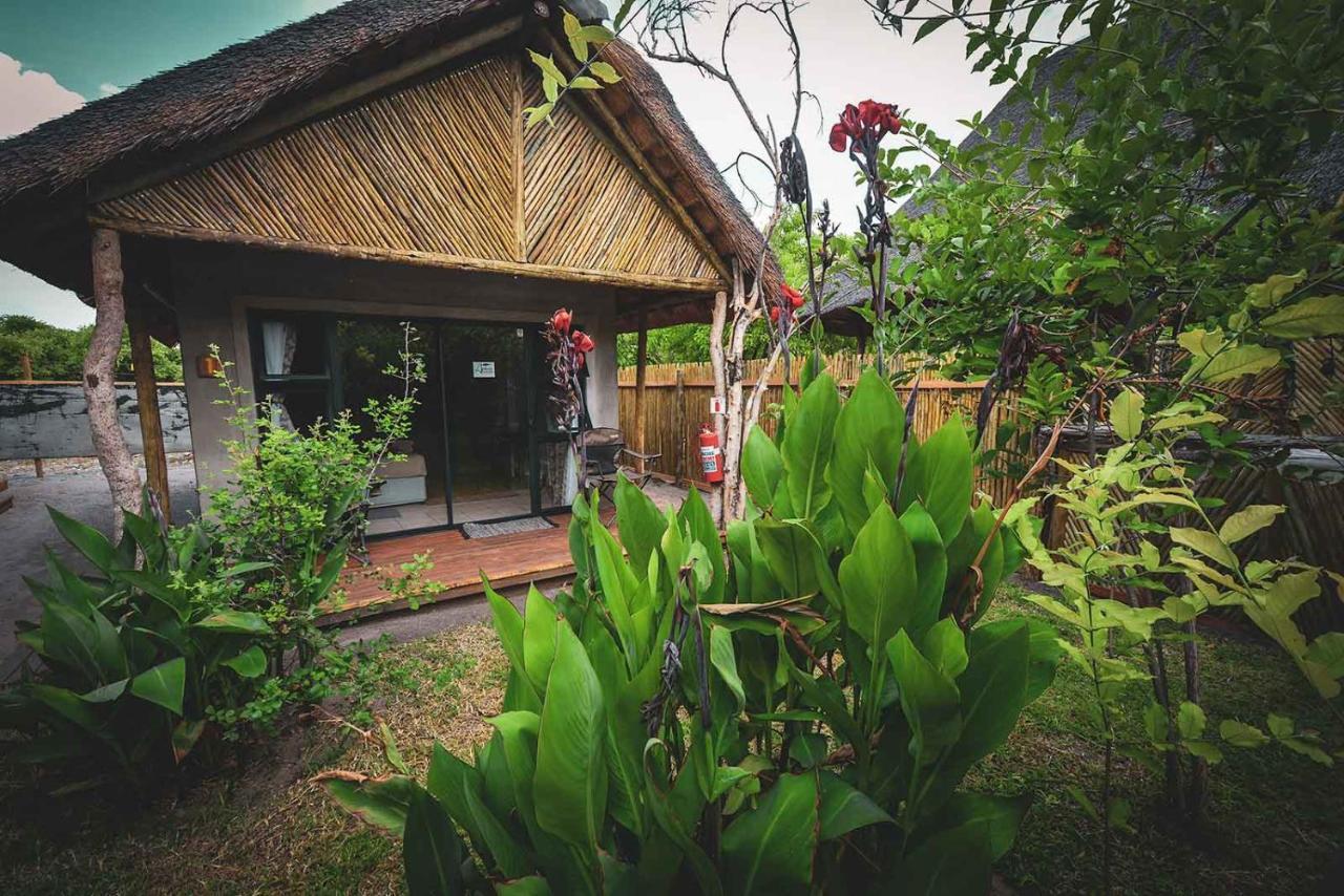 Khwai African Excursions Guest House מראה חיצוני תמונה