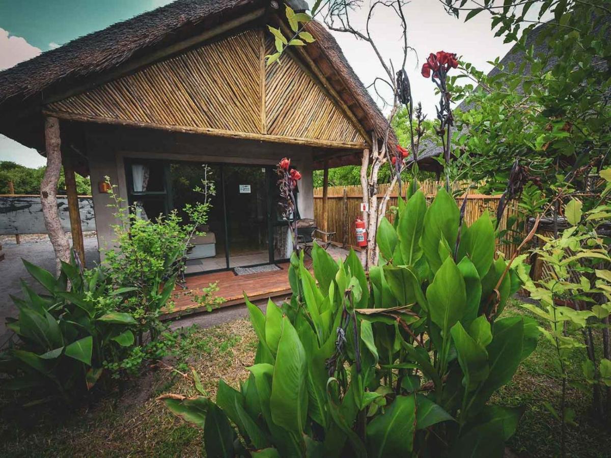 Khwai African Excursions Guest House מראה חיצוני תמונה